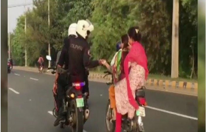 Dolphin Force Breaks the Internet by Helping Female Riders 