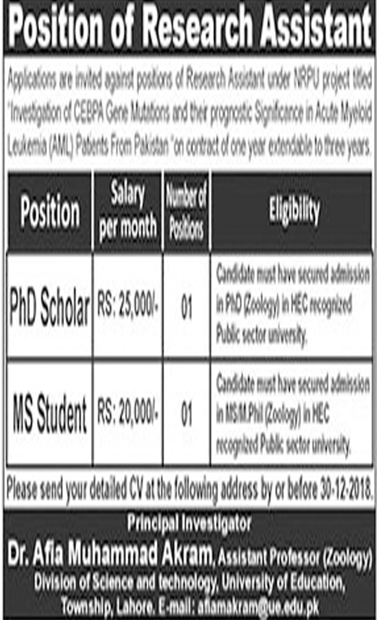 education jobs university