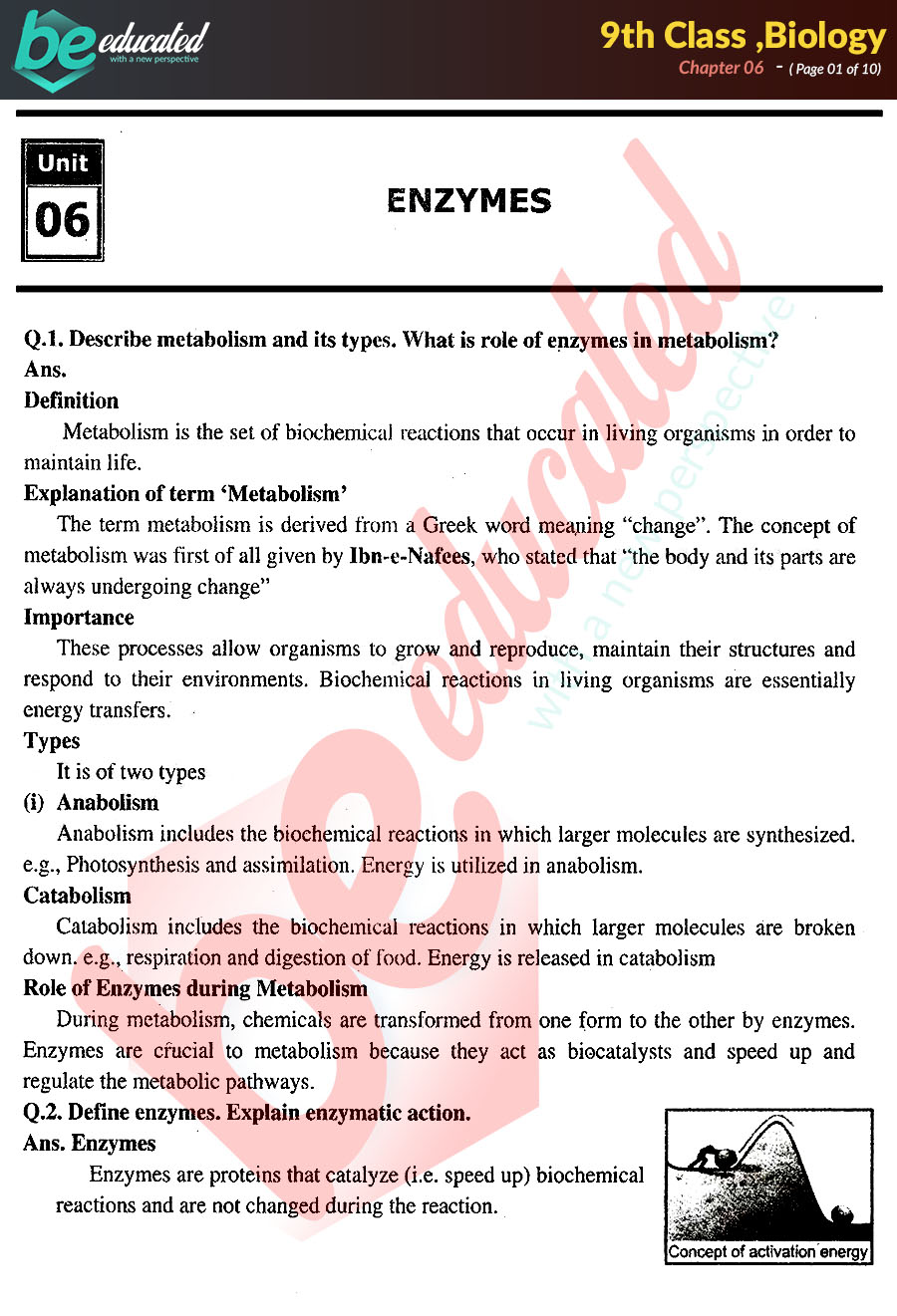 Chapter 6 Biology 9th Class Notes Matric Part 1 Notes